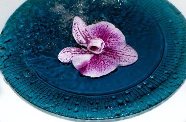 Suyun üzerindeki spa salonu mor orkide