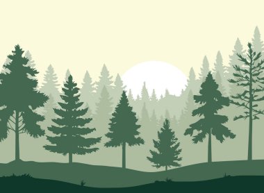 Ormandaki yeşil çam ağaçlarının tasviri. Vektör illüstrasyonu..