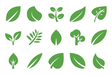 Düz yeşil yapraklardan oluşan bir derleme, beyaz arka planda güzelce gösterilmiş. Doğa temalı tasarımlar ve botanik projeleri için ideal.