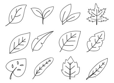 Beyaz arka planda güzel bir şekilde resmedilmiş, el yapımı yapraklardan oluşan bir koleksiyon. Doğa temalı tasarımlar ve botanik projeleri için ideal.