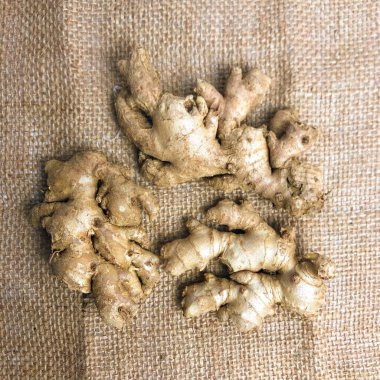 Ginger kökü arka planda izole edildi. Sağlık, aşçılık ve içerikte kullanmak için ideal