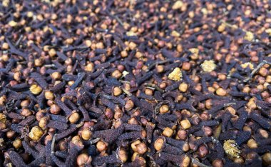 Kuru karanfil. Aşçılık, sağlık ve baharatla ilgili içerikte kullanım için ideal