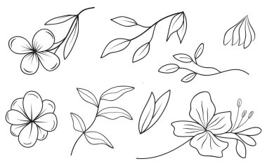 Düğün dalları, otlar ve minimalist botanik unsurların yer aldığı zarif el çizimi çiçek koleksiyonu davetiyeler ve tarih kartlarını saklamak için mükemmel..