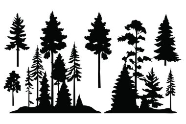 Siluet çam ağaçları koleksiyonu. Soyut vektör. Vektör illüstrasyonu