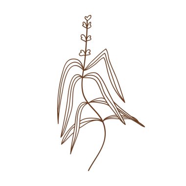 Sanat tarzında el çizimi asgari elementler. Vektör illüstrasyonu