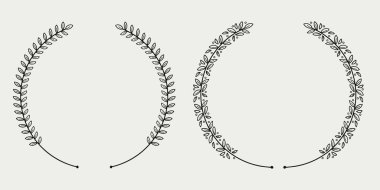 Sarmaşık çizgisi dairesel sınır eli koleksiyon-vektör illüstrasyonu çizer