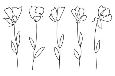 Tek satır sanat vektörü çiçek illüstrasyon koleksiyonu. Sürekli bir çizgi. Çiçek koleksiyonu. Vektör illüstrasyonu.