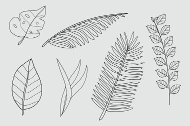 Tropik yaprak çiçeği botanik bitkisi siyah çizgi seti. Palmiye dalları, egzotik kuş cenneti çiçek amblemi tesisatı. Botanik element dövmesi boyama dergisi kozmetik sitesi spası beyaza izole edilmiş