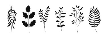 Yapraklı siluet dallar botanik koleksiyonu. Doğa vektörü çizimi.