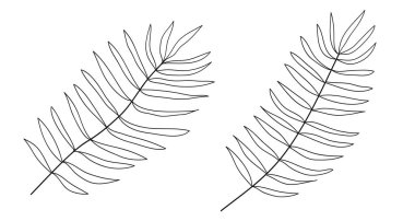 Avuç içi çizgileri el çizimi. Vektör illüstrasyonu
