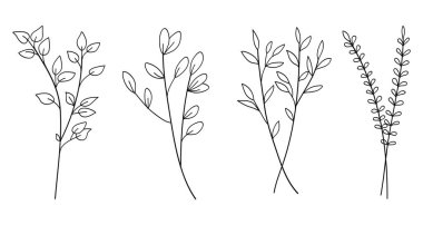 Yapraklı dallar botanik koleksiyonu çiziyor. Vektör illüstrasyonu