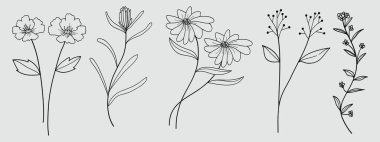 Sanat tarzında el çizimi çiçek asgari elementler. Dekorasyon için yeşillik, yabani ve bahçe bitkileri, dallar, yapraklar. Vektör illüstrasyonu
