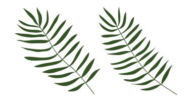 Yeşil palmiye düz elle çizim yapar. Vektör illüstrasyonu