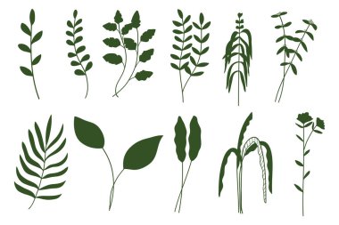 Yapraklı yeşil siluet dallar botanik koleksiyonu. Vektör illüstrasyonu