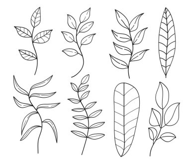 Botanik yaprak ve dallar taslak el çizimi - koleksiyon. Baskı, kapak, duvar kağıdı, asgari ve doğal duvar sanatı için soyut yaprak sanat tasarımı. Vektör illüstrasyonu
