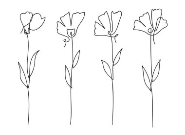 Tek çizgi sanat çiçekleri botanik koleksiyonu. El çizimi vektör illüstrasyonu