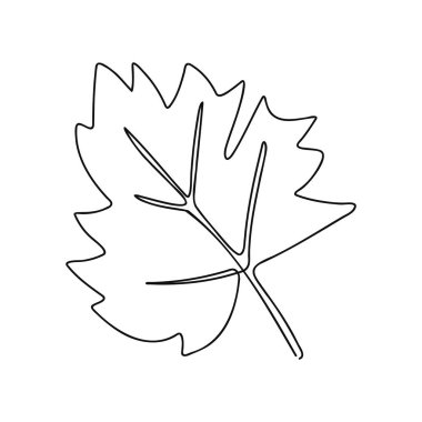 Bir akçaağaç yaprağının minimalist tek çizgi çizimi, doğa ve botanik tasarımlar için mükemmel..