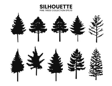 Çam ağacı siluetlerinin detaylı bir vektör koleksiyonu, vahşi yaşam ve doğa tasarımları için mükemmel..