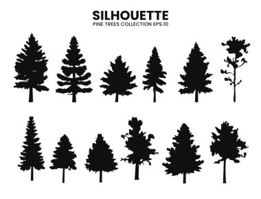 Çam ağacı siluetlerinin detaylı bir vektör koleksiyonu, vahşi yaşam ve doğa tasarımları için mükemmel..
