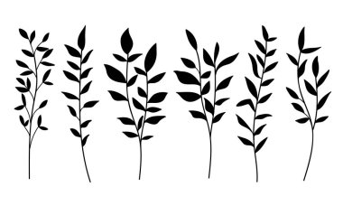 Yaban çiçeği silueti ağaç ve dallar dizildi. El çizimi vektör illüstrasyonu