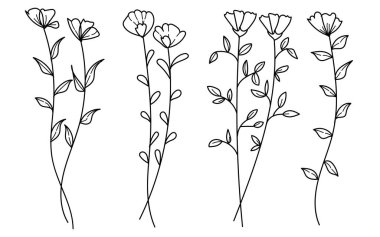 El yapımı botanik dal ve yapraklardan oluşan bir koleksiyon. Doğadan esinlenilmiş tasarımlar için mükemmel..