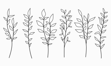 El Yaprakları ve Dalları İzole Edilmiş Beyaz Arkaplana Ayarla. Botanik Vektör İllüstrasyonu