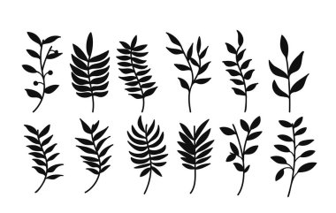 Silüet botanik dallar ve yapraklar koleksiyonu. Doğa bitkileri yaban hayatı vektör illüstrasyonu.Davetiyeler, arka plan ve daha fazlası için yeşillik dekorasyonu.