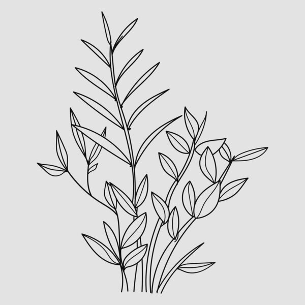 Tree branch with leaves hand-drawn nature botanical .Vector illustration