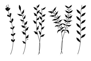 Siluet Botanik Alanı. Görüntüler minimalist, yapraklı ve saplı bitkilerin basit çizgilerini gösteriyor. Vektör illüstrasyonu