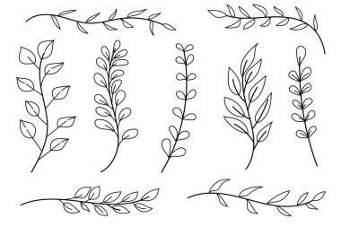 Çeşitli bitki sapları ve yaprakları içeren el yapımı botanik çizgisi koleksiyonu.