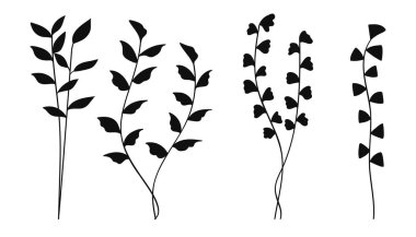 Silüet botanik seti. El yapımı ağaç dalları ve yaprakları var. Markalaşma, paketleme, davetiyeler, web tasarımı ve doğadan esinlenilmiş projeler için mükemmel..