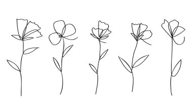 Tek satır sanat vektörü çiçek illüstrasyonu koleksiyonu. Sürekli bir çizgi sanat eseri. Çiçek koleksiyonu.