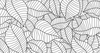 Elle çizilmiş karmaşık yaprak desenleri siyah beyaz. Bu kusursuz vektör çizimi arka planlar, duvar kağıtları, tekstil ve botanik temalı tasarımlar için mükemmeldir..