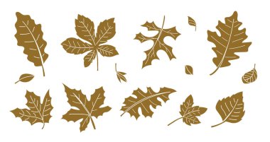 Kahverengi siluet şeklinde sonbahar yaprakları koleksiyonu. Mevsimlik tasarımlar, klasik dekorasyonlar ve botanik çizimler için mükemmel..