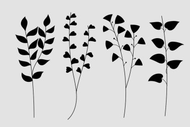 Botanik siluet elementleri. Çiçek karalamaları. Farklı şekillerde yaprakları olan soyut dallar. Vektör illüstrasyonu.