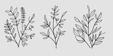 Sanat tarzında el çizimi çiçek asgari elementler. Dekorasyon için yeşillik, yabani ve bahçe bitkileri, dallar, yapraklar. Vektör illüstrasyonu