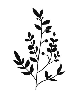 Botanik Stili Yapraklı Siluet Dalları. Doğa vektör illüstrasyonu