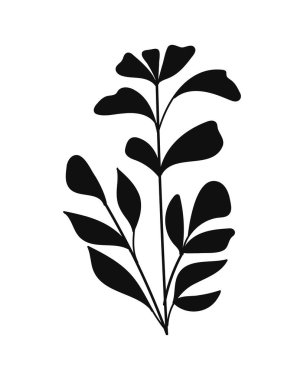 Botanik Stili Yapraklı Siluet Dalları. Doğa vektör illüstrasyonu