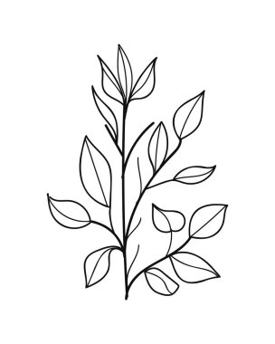 Botanik Tarzında Yapraklarla El Çizimi Yaprakları. Vektör illüstrasyonu