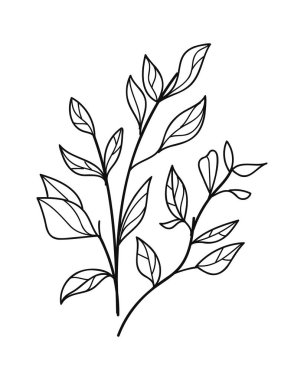 Çiçekli ve yapraklı bir bitkinin dalı. El çizimi vektör çizimi beyaz arkaplanda izole edildi.