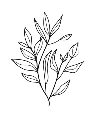 Çiçekli ve yapraklı bir bitkinin dalı. El çizimi vektör çizimi beyaz arkaplanda izole edildi.