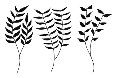 Siluet Botanik Alanı. Görüntüler minimalist, yapraklı ve saplı bitkilerin basit çizgilerini gösteriyor. Vektör illüstrasyonu