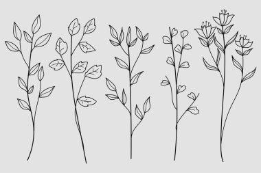Botanik koleksiyonunda Yapraklarla El Çizimi Yaprakları. Vektör illüstrasyonu