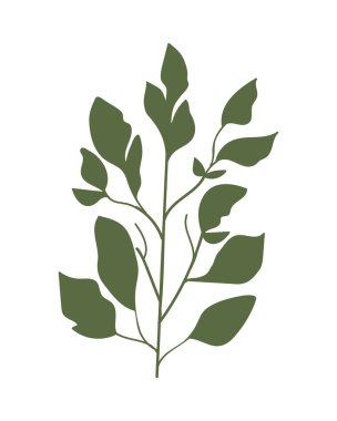 Yeşil botanik yaprakları ve el çizimi. Vektör illüstrasyonu.