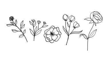 Çiçekler, yapraklar ve kır çiçekleri içeren el yapımı botanik çizgisi koleksiyonu. Vektör illüstrasyonu..