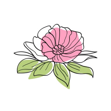 Gül pembe çiçek botanik çizgisi sanatı. El çizimi. Vektör illüstrasyonu.