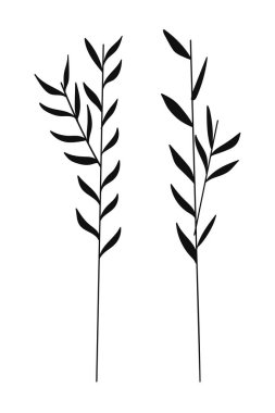 Siluet botanik siyah çiçek süslemesi. Vektör illüstrasyonu.