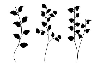 Siluet yaprakları dallar ve çiçekli bitkiler koleksiyonu. Vektör illüstrasyonu