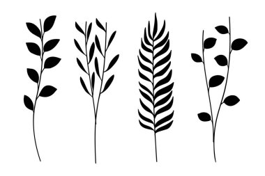 Yapraklı siluetler botanik doğa koleksiyonu. Vektör illüstrasyonu.