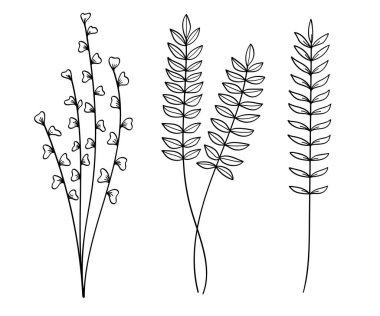 Botanik koleksiyonunda Yapraklarla El Çizimi Yaprakları. Vektör illüstrasyonu